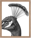 Poster Master Vintage Peacock Poster by PosterMaster