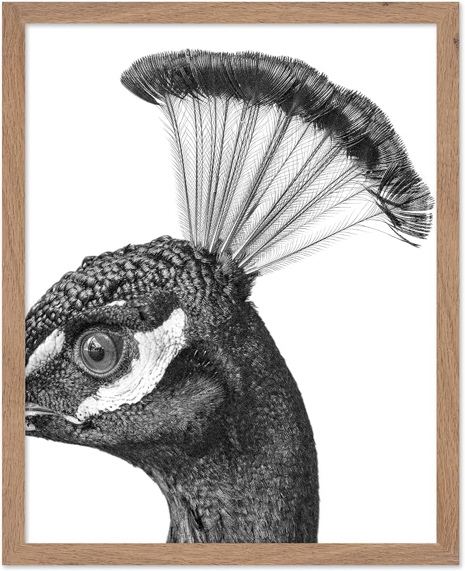 Poster Master Vintage Peacock Poster by PosterMaster