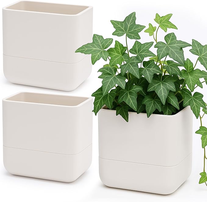 Phoenix Vine 6.5 Inch Wall Mounted Self-Watering Planter Pots by Phoenix+Vine