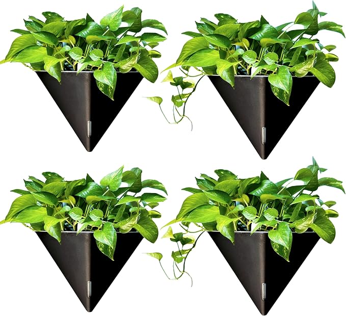 LaLaGreen Wall Planters for Indoor Plants by L%C3%A1L%C3%A1Green