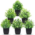 Der Rose 6 Pack Fake Plants Mini Artificial Plants by DerRose