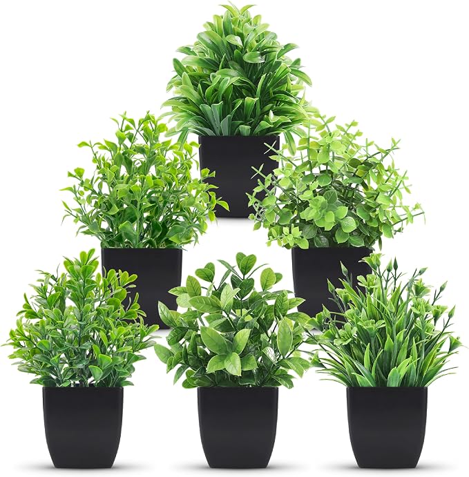 Der Rose 6 Pack Fake Plants Mini Artificial Plants by DerRose