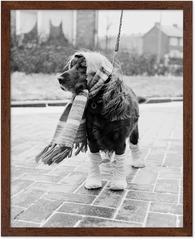 Poster Master Vintage Dog Dressed by PosterMaster