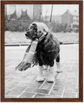 Poster Master Vintage Dog Dressed by PosterMaster