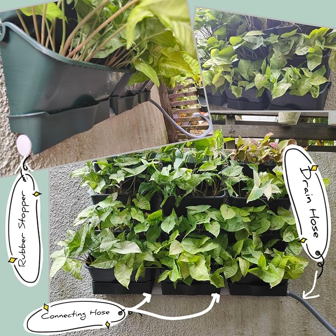 Maxona Vertical Wall Planter for Indoor Plant-Walls Mounted Pot - Image 5