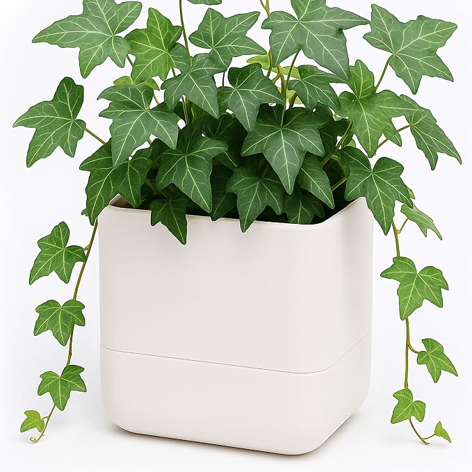 Phoenix Vine 6.5 Inch Wall Mounted Self-Watering Planter Pot by Phoenix+Vine