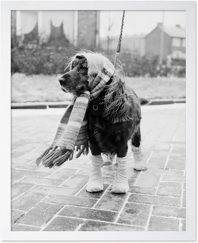 Poster Master Dog Dressed for Winter Print by PosterMaster