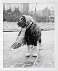 Poster Master Dog Dressed for Winter Print by PosterMaster