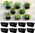 LaLaGreen Wall Planter Black Oval Metal Hanging Decor Plant Holder Indoor Wall by L%C3%A1L%C3%A1Green