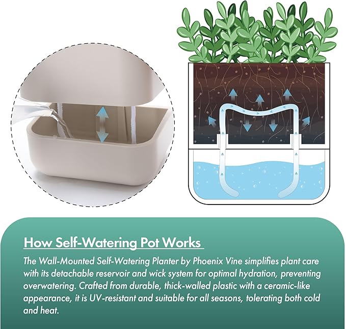 Phoenix Vine 6.5 Inch Wall Mounted Self-Watering Planter Pots - Image 5