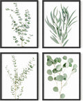 HAUS AND HUES Botanical Plant Wall Art Prints by HausandHuesArtPrints