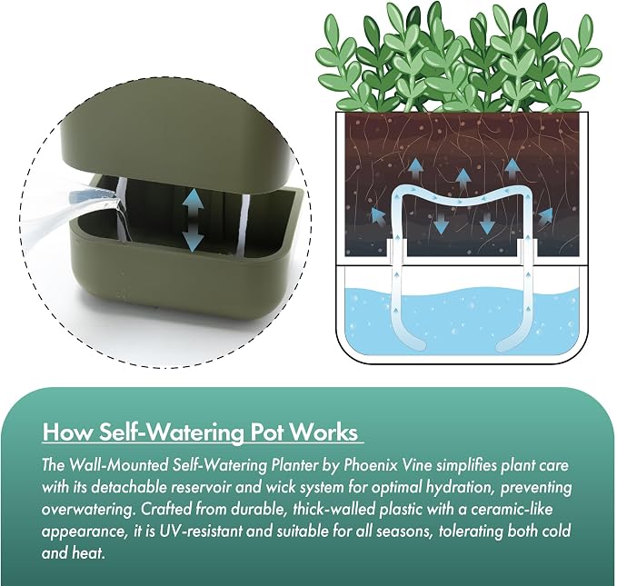 Phoenix Vine 6.5 Inch Wall Mounted Self-Watering Planter Pot - Image 5