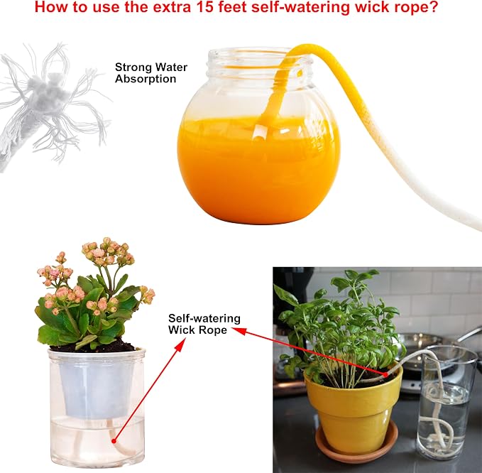 3 Pack Self Watering Wall Hanging Planter Pots Vertical Garden Window Hang - Image 8