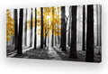 Cao Gen Decor Art S06350 Wall Art Canvas Painting Yellow Tree in Black and by Cao+Gen+Decor+Art