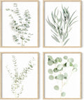 HAUS AND HUES Botanical Plant Wall Art Prints by HausandHuesArtPrints