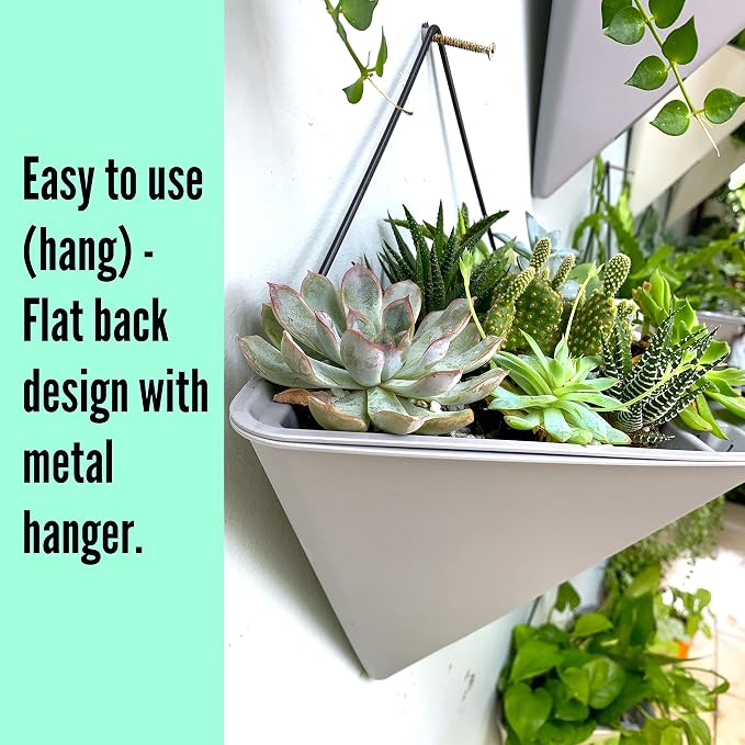 LaLaGreen Wall Planters - Image 8