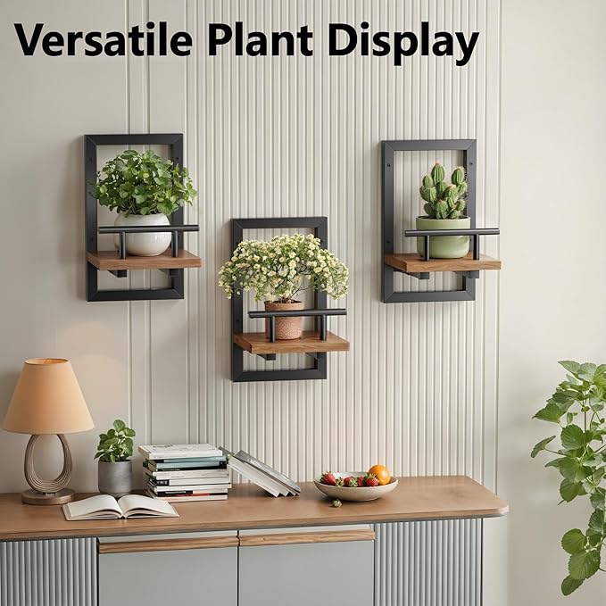 Sbosbo Floating Shelves for Wall, Plant Shelf Indoor, Wall Planters for Indoor - Image 6
