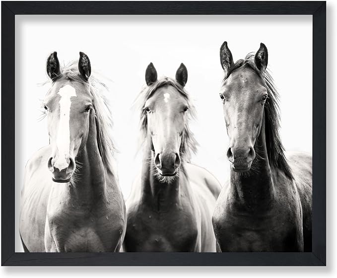 Poster Master Horse Poster by PosterMaster