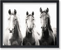 Poster Master Horse Poster by PosterMaster