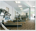 Delma Home Gym Mirror by Delma