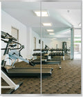 Delma Home Gym Mirror, Large Full Body Tempered Glass Frameless, Wall-Mounted by Delma