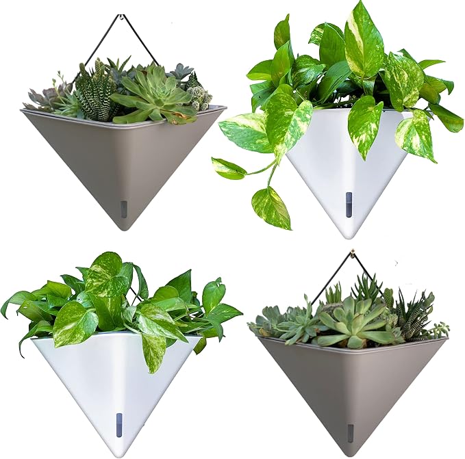 LaLaGreen Wall Planters by L%C3%A1L%C3%A1Green