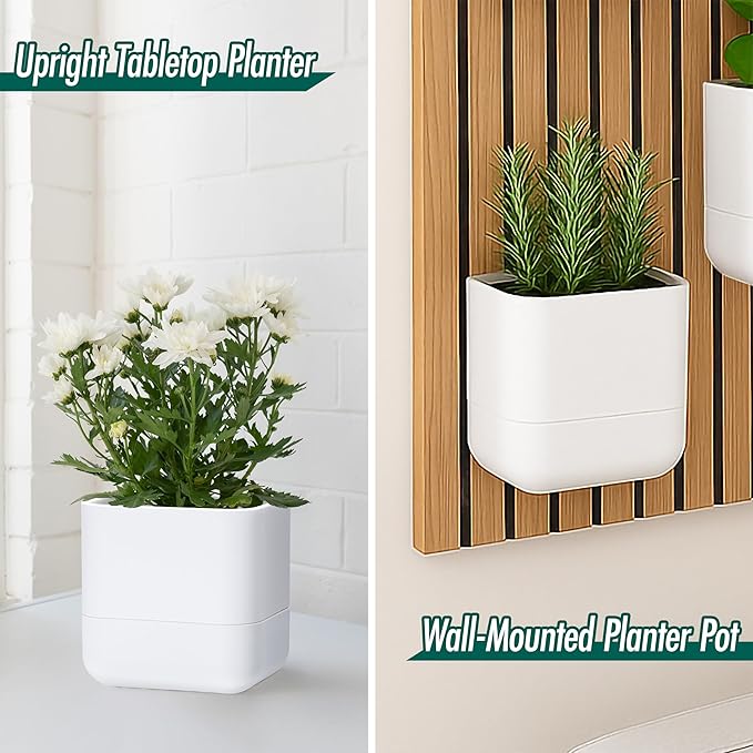 Phoenix Vine 6.5 Inch Wall Mounted Self-Watering Planter Pot - Image 2