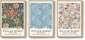Framed William Morris Wall Art Set of 3, Large Vintage Floral Botanical Canvas by Cuspin