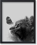 Poster Master Butterfly on Cat Print by PosterMaster