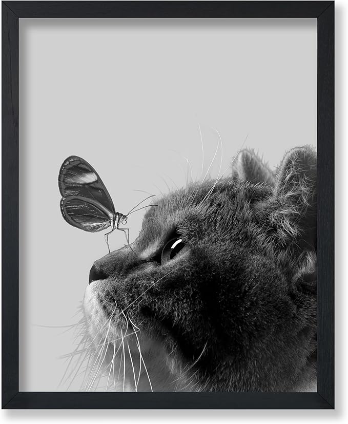 Poster Master Butterfly on Cat Poster by PosterMaster