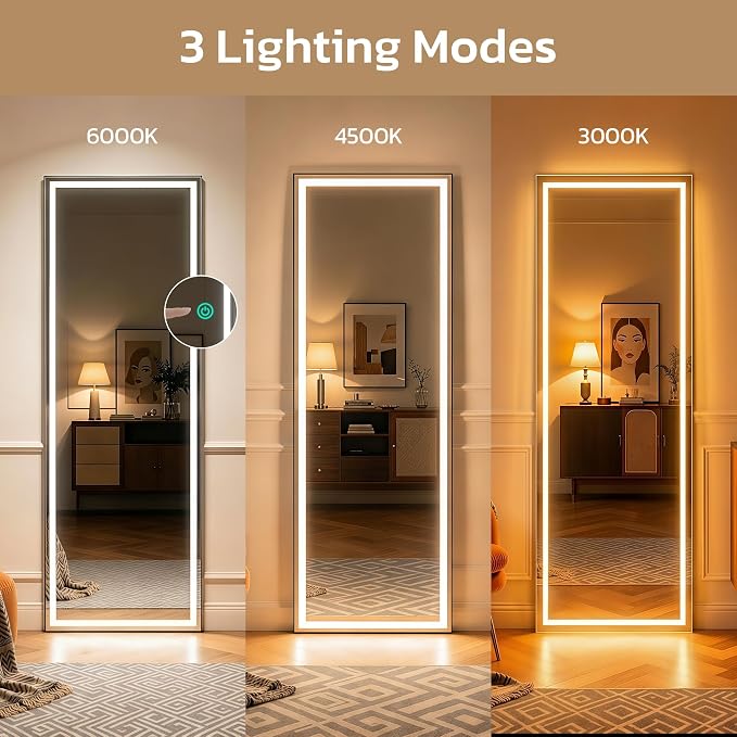 64"x21" Full Length Mirror - Image 3