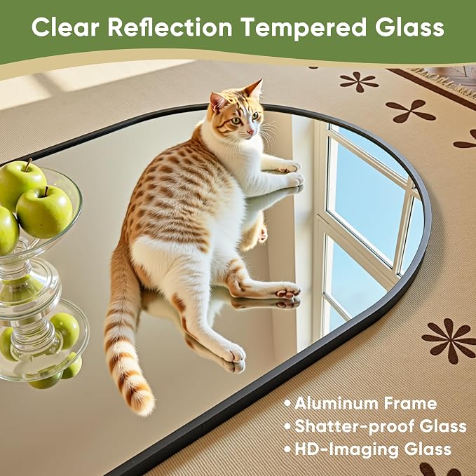 Full Length Mirror, Oversized Floor Mirrors, Leaning Free Standing Mirrors - Image 4