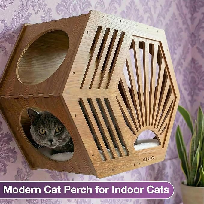 Modern Hexagonal Cat Wall Shelf System, 6-Piece Wood Wall Mounted Cat Furniture - Image 2