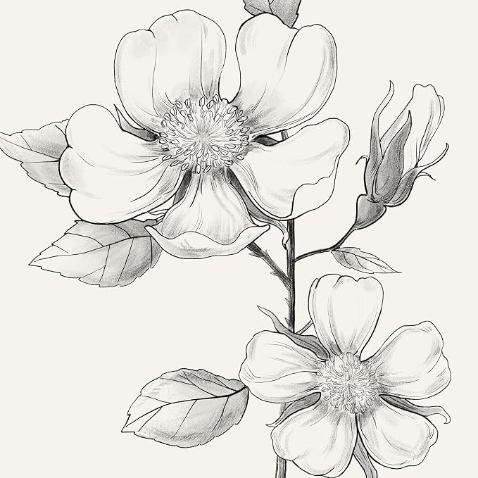 Framed Black and White Floral Wall Art, 4 Piece Vintage Gray Botanical Canvas - Image 5
