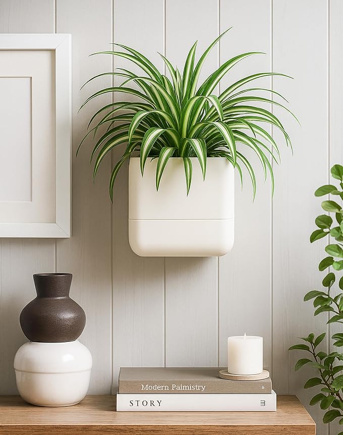 Phoenix Vine 6.5 Inch Wall Mounted Self-Watering Planter Pot - Image 4