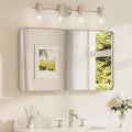 TETOTE Brushed Nickel Bathroom Mirror 40 x 24 Inch by TETOTE