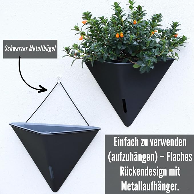 LaLaGreen Wall Planters for Indoor Plants - Image 4