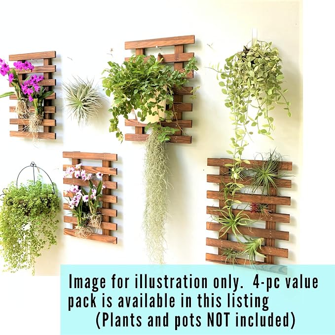 ShopLaLa Wall Planter - Image 8