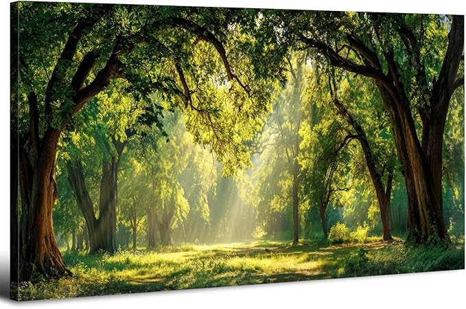 Forest Wall Art for Living Room Nature Green Forest Landscape Canvas Pictures by HOME
