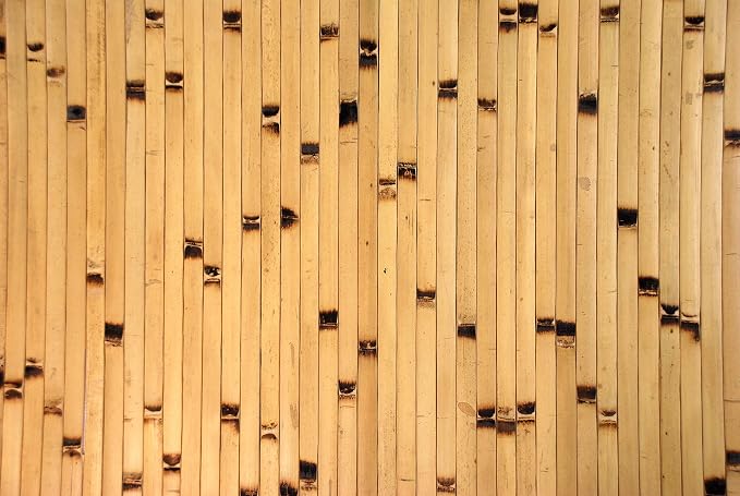 Natural Bamboo Paneling - Image 4