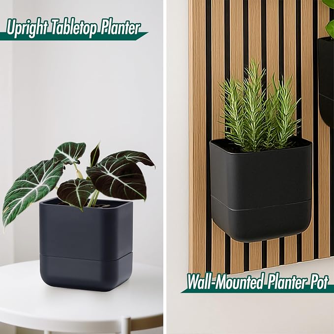 Phoenix Vine 6.5 Inch Wall Mounted Self-Watering Planter Pot - Image 2