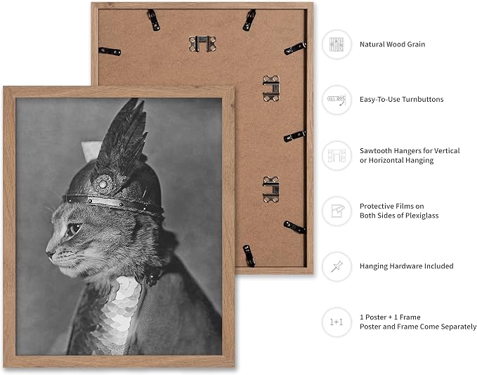 Poster Master Vintage Armored Cat - Image 2