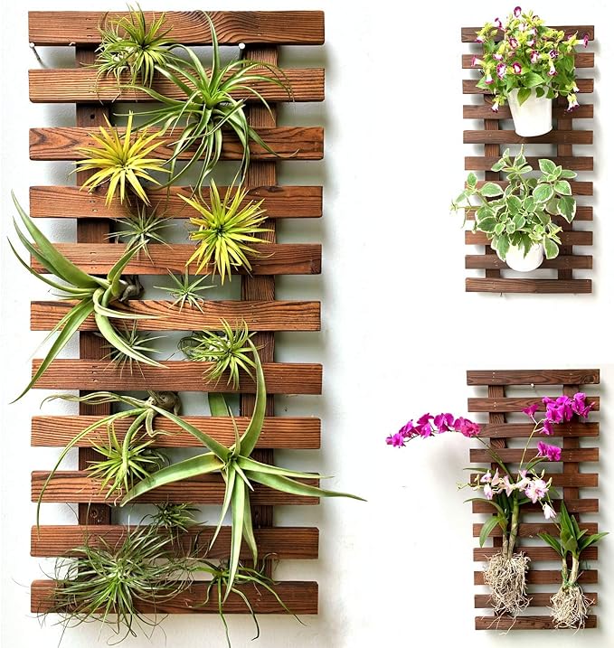 ShopLaLa Wall Planter by ShopLaLa