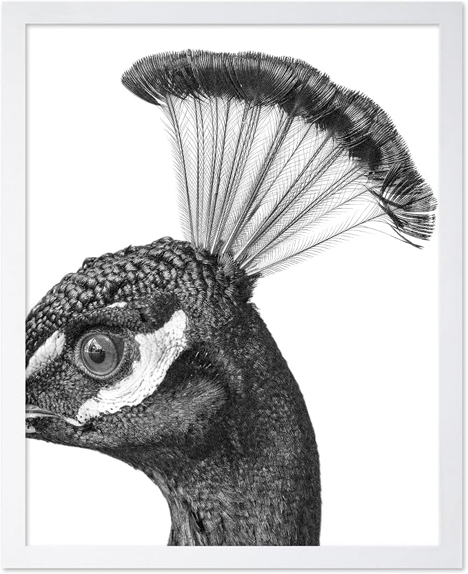 Poster Master Vintage Peacock Poster by PosterMaster
