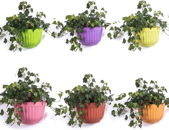 6 Pack Colorful Wall Hanging Planters - Image 7