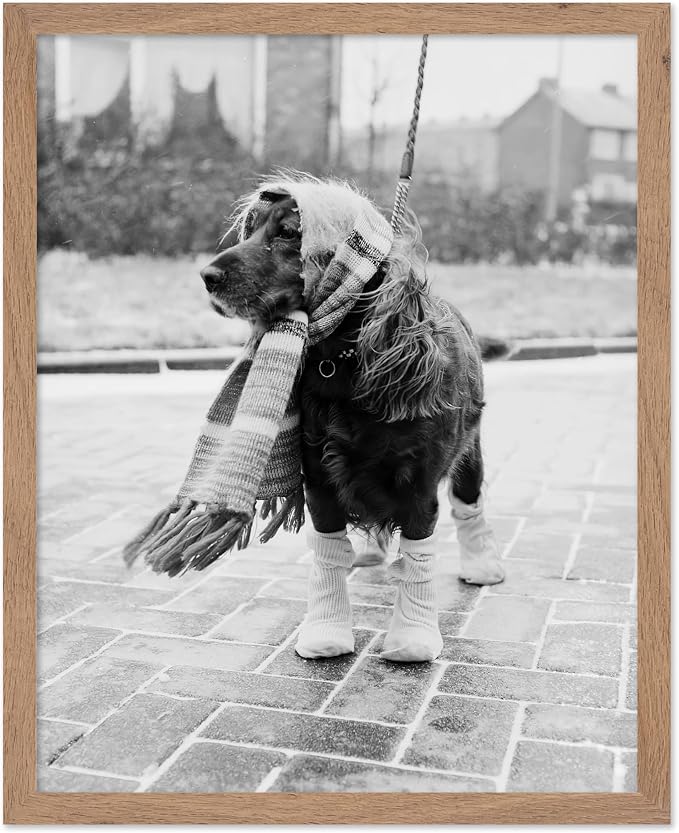 Poster Master Vintage Dog Dressed by PosterMaster