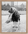Poster Master Vintage Dog Dressed by PosterMaster