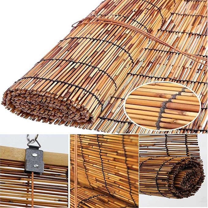 Outdoor Roller Shades for Patio - Image 4