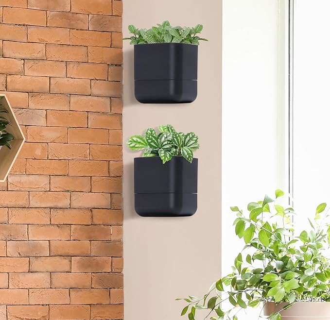 Phoenix Vine 6.5 Inch Wall Mounted Self-Watering Planter Pot - Image 7