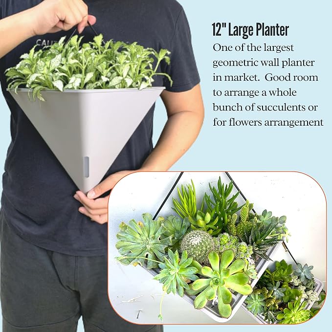 LaLaGreen Wall Planters - Image 5